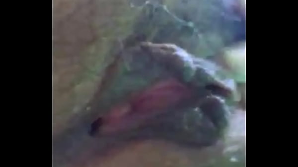 CHOLITA PIDE VERGA A GRITOS