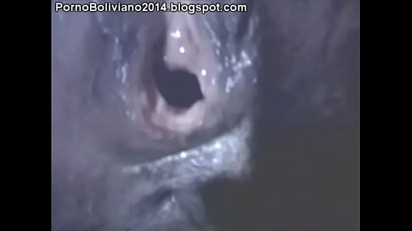 Rica conchita de mi amiga, Bolivia