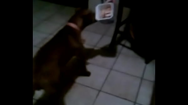 VID 20150511 204154 418 (4)